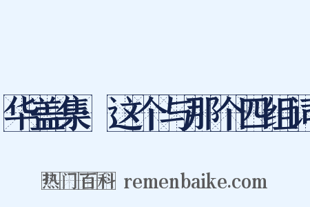 华盖集·这个与那个四组词是什么意思的图片